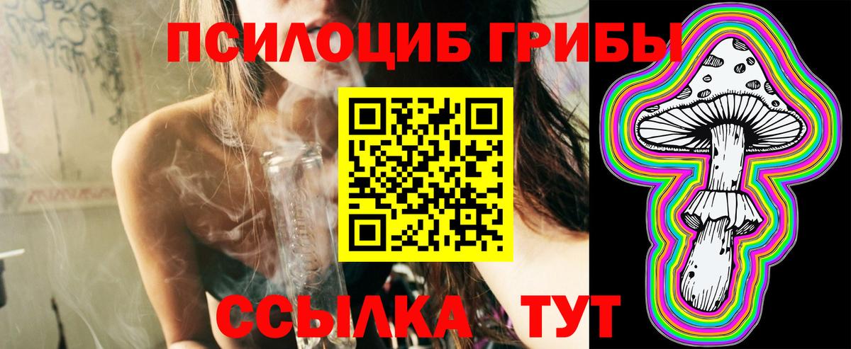Галлюциногенные грибы GOLDEN TEACHER  Вход с VPN  Моздок 